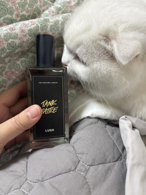 러쉬 탱크 배틀 100ml
